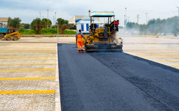 Best Driveway Repair Near Me  in Oronoco, MN