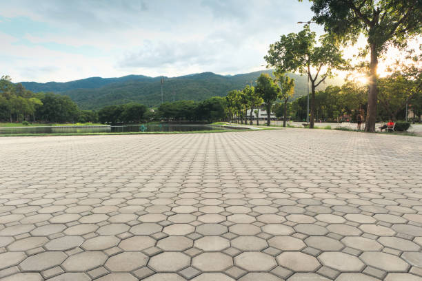 Best Custom Driveway Pavers  in Oronoco, MN